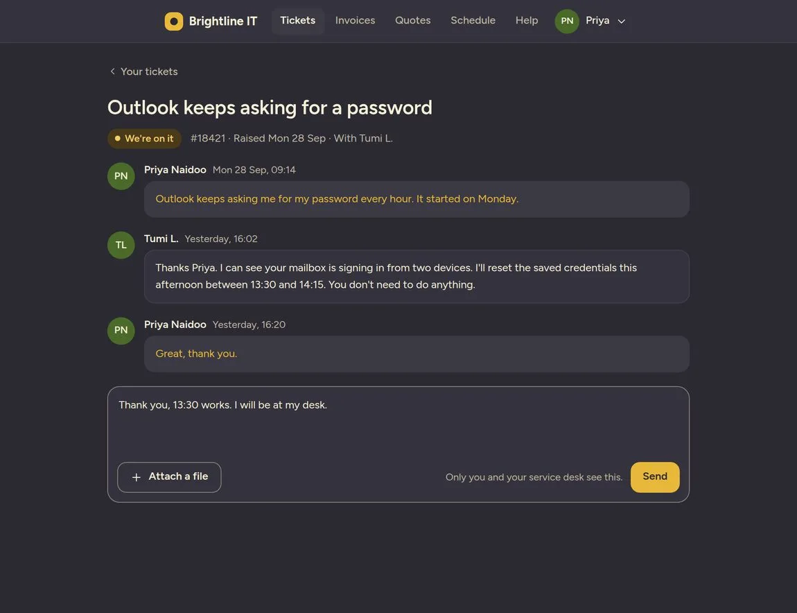 The client portal: a ticket thread and a reply box, in plain words